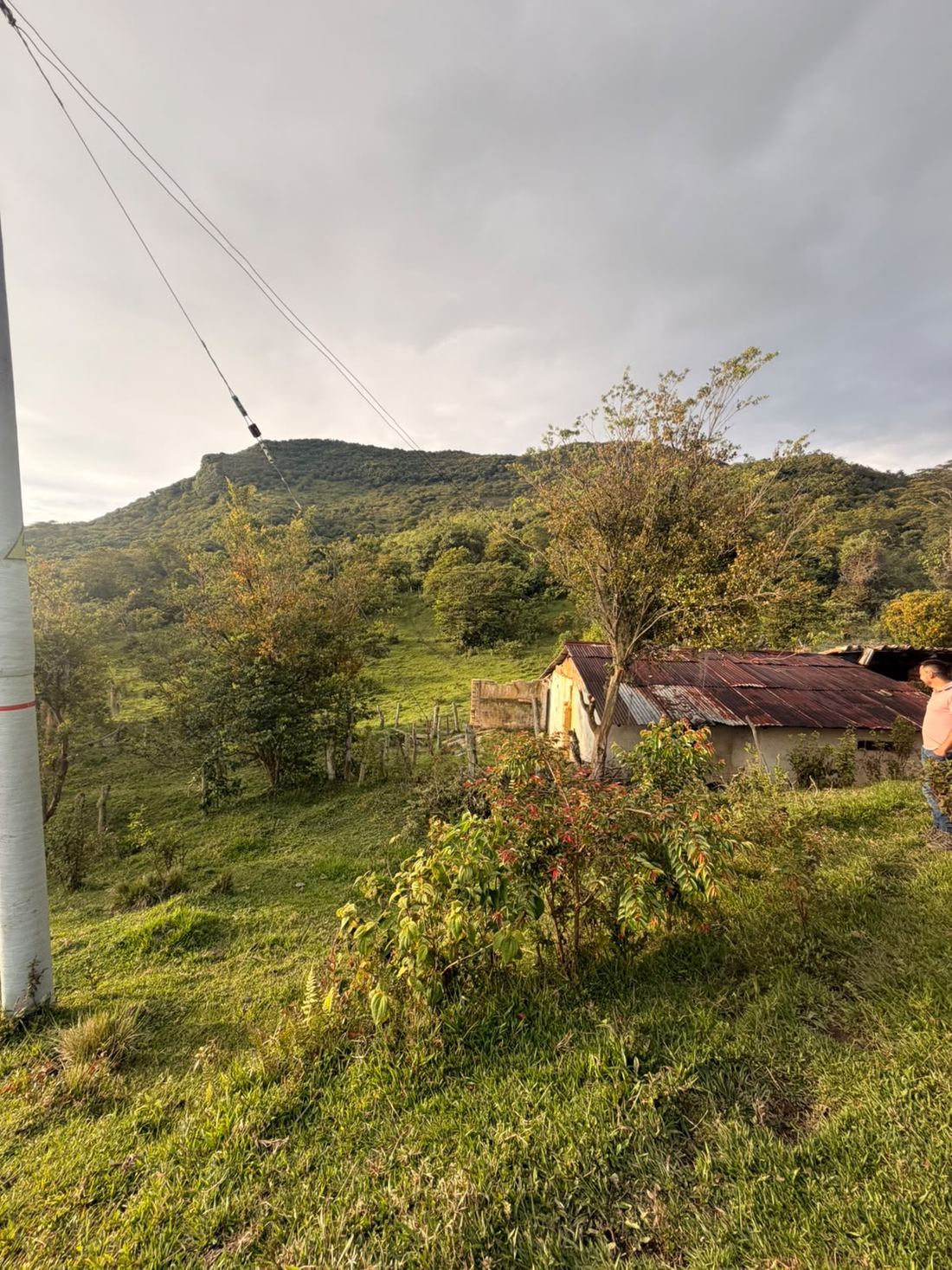 El cerro boscoso sobre la finca, con la casa y el poste de energía en primer plano